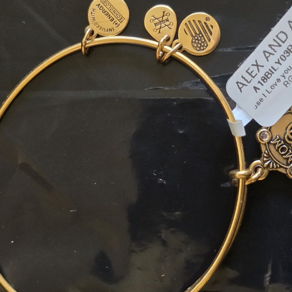 Alex and Ani Gold Charm Bracelet New - Picture 4 of 6